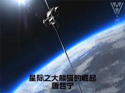 星际之大熊猫的崛起唐哲宁全文免费阅读无弹窗大结局-唐哲宁最新章节列表_笔趣阁（星际之大熊猫的崛起唐哲宁）