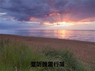 （夏听晚霍行简）夏听晚霍行简全文免费阅读无弹窗_（夏听晚霍行简小说免费阅读）最新章节列表笔趣阁