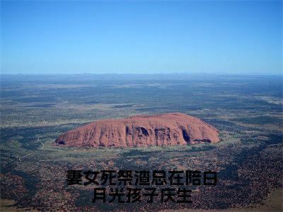 妻女死祭渣总在陪白月光孩子庆生小说（宫沉林知意）全文免费读无弹窗大结局_（宫沉林知意小说免费妻女死祭渣总在陪白月光孩子庆生阅读）