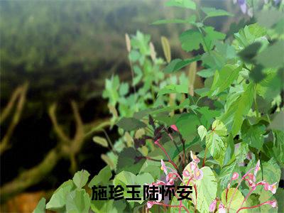 （热推新书）《施珍玉陆怀安》全文免费阅读最新章节大结局-陆怀安施珍玉无弹窗阅读