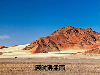 主角顾时浔孟雨小说顾时浔孟雨小说全文免费阅读