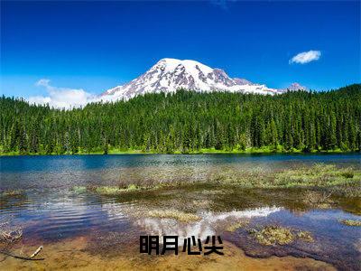 明月心尖（江烟季景初）小说全文免费阅读-江烟季景初小说最新章节完整版