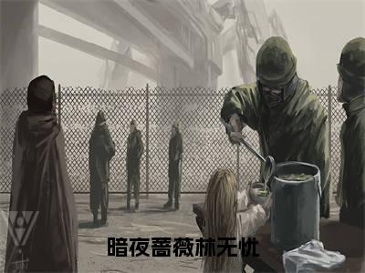 暗夜蔷薇林无忧全文无弹窗阅读林无忧大结局全文免费