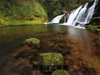 新书热荐苏雨眠江易淮全集小说完整版大结局-小说苏雨眠江易淮全文完整版免费阅读