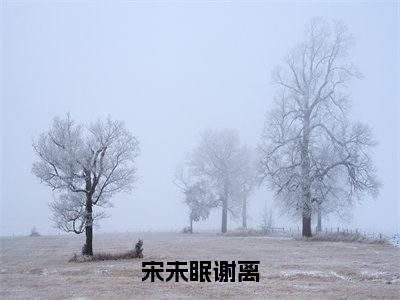 宋未眠谢离宋未眠谢离全文免费阅读无弹窗大结局_宋未眠谢离（宋未眠谢离）全文阅读_笔趣阁