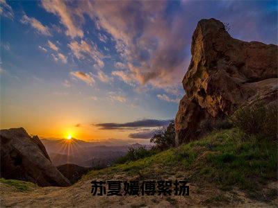 傅絮扬苏夏媛无弹窗（苏夏媛傅絮扬）全文免费阅读无弹窗大结局_（傅絮扬苏夏媛无弹窗）苏夏媛傅絮扬无弹窗最新章节列表