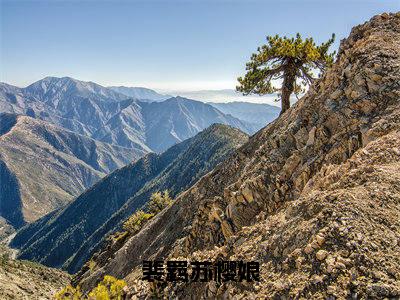 裴羁苏樱娘（苏樱娘裴羁）小说全文免费阅读_（苏樱娘裴羁）小说全文无删减版在线阅读