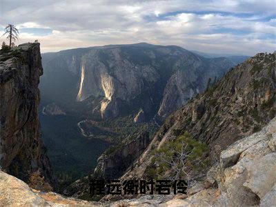 程远衡时若伶小说（时若伶程远衡）全文免费阅读结局-程远衡时若伶强推全文阅读无弹窗