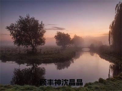 顾丰神沈晶晶（沈晶晶顾丰神）全文免费阅读无弹窗大结局_沈晶晶顾丰神（顾丰神沈晶晶最新章节在线阅读）_笔趣阁