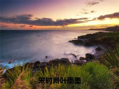 宋时景叶雨墨阅读无弹窗大结局_（叶雨墨宋时景阅读无弹窗）最新章节列表_笔趣阁（叶雨墨宋时景）