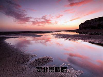 晴雨贺北崇（贺北崇晴雨）全文免费阅读无弹窗大结局_（晴雨贺北崇小说全文免费阅读）最新章节列表