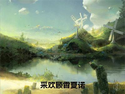 采欢顾霄夏诺（夏诺顾霄）全文免费阅读无弹窗大结局_（采欢顾霄夏诺无弹窗）夏诺顾霄最新章节列表阅读_笔趣阁