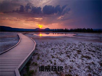 杨桃虞辰的小说主角（虞辰杨桃）免费阅读_虞辰杨桃热搜小说完结版阅读