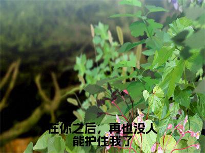 楚鸢小说全文免费阅读_在你之后，再也没人能护住我了（楚鸢）最新章节列表笔趣阁