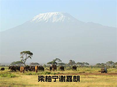 梁柚宁谢嘉朗（梁柚宁谢嘉朗）免费阅读_梁柚宁谢嘉朗小说免费阅读-笔趣阁