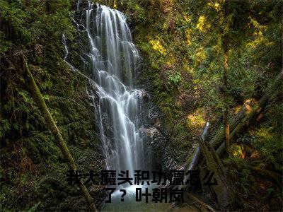 热文叶朝岚小说全文阅读_我大魔头积功德怎么了？叶朝岚（叶朝岚）全文免费阅读最新章节列表