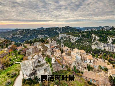 顾洁珂叶景（顾洁珂叶景）精彩小说-顾洁珂叶景全章节免费阅读