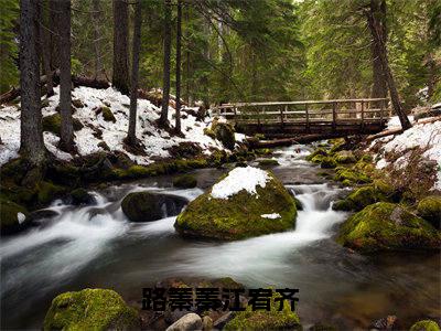 路蓁蓁江宥齐（江宥齐路蓁蓁）小说免费下载全本-路蓁蓁江宥齐（江宥齐路蓁蓁完整版）免费阅读