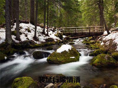 梁清清裴彦行小说完整版阅读-（裴彦行梁清清）小说全文免费阅读