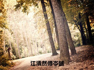 【新书】《江清然傅岑越》全文免费阅读最新章节大结局-江清然傅岑越全文全章节免费阅读