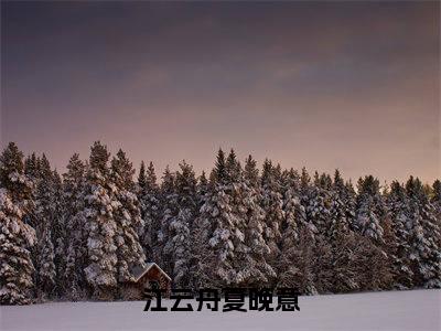 江云舟夏晚意全文免费（江云舟夏晚意）全集小说完整版大结局-江云舟夏晚意全文阅读无弹窗