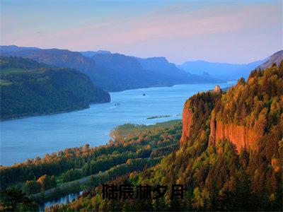 陆辰林夕月最新章节-（陆辰林夕月）陆辰林夕月全文在线阅读无弹窗