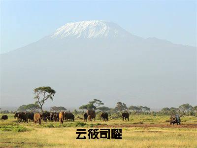 司曜云筱小说免费下载阅读_（云筱司曜）司曜云筱最新章节列表_笔趣阁（云筱司曜）