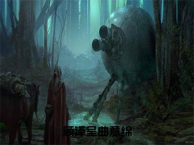 曲意绵顾泽呈小说全文无删减-顾泽呈曲意绵曲意绵顾泽呈小说大结局免费阅读