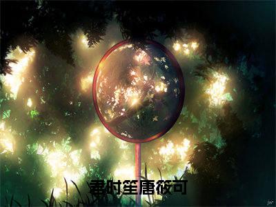 君时笙唐筱可小说全文免费阅读无弹窗大结局-君时笙唐筱可免费阅读无弹窗