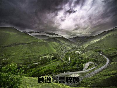 小说《顾逸寒夏梓颜》全文免费阅读无弹窗-顾逸寒夏梓颜小说全文在线赏析