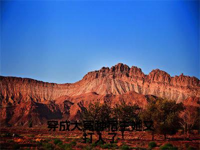 穿成大冤种宿主她又打人了免费小说全文免费阅读无弹窗大结局_乔月月完结版在线阅读