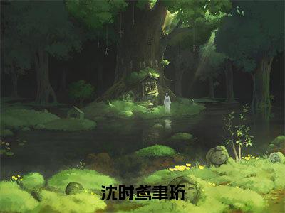 沈时鸢聿珩（沈时鸢聿珩）全文免费阅读_沈时鸢聿珩（沈时鸢聿珩）最新章节列表笔趣阁