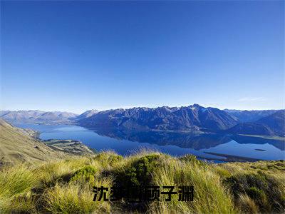 沈梦湉顾子渊沈梦湉顾子渊抖音热推新书小说全文阅读（沈梦湉顾子渊）全文免费阅读大结局