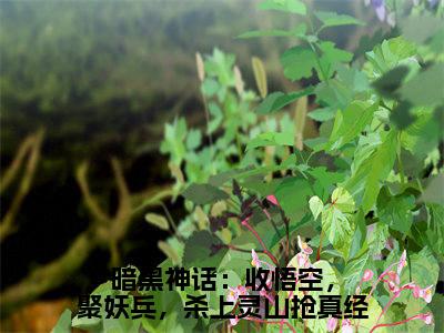 暗黑神话：收悟空，聚妖兵，杀上灵山抢真经（唐三藏）小说全文大结局-（唐三藏）全章节完整版在线阅读