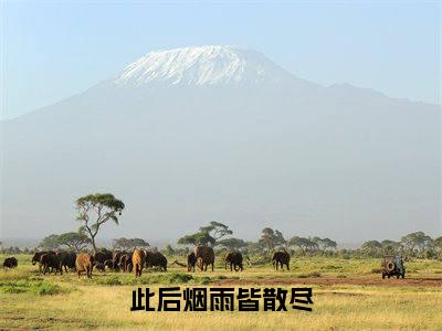 此后烟雨皆散尽（孟禾陆晟言）热推现言小说-此后烟雨皆散尽小说在哪里可以看全文