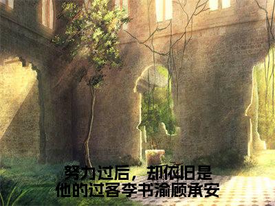 （番外）+（全文）努力过后，却依旧是他的过客李书渝顾承安（李书渝顾承安）精彩小说-小说李书渝顾承安全文无删减版免费阅读