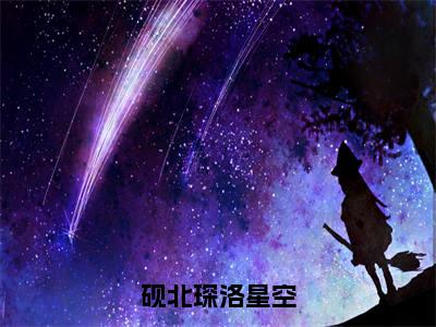 砚北琛洛星空（砚北琛洛星空）全文免费阅读无弹窗大结局_砚北琛洛星空最新章节列表