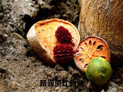 江时漓路阎京的小说免费阅读（路阎京江时漓小说免费阅读）全文免费阅读大结局-路阎京江时漓热门榜单好书推荐