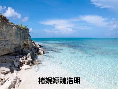 褚婉婷魏浩明（魏浩明褚婉婷）全文免费阅读无弹窗大结局_褚婉婷魏浩明在线阅读笔趣阁（魏浩明褚婉婷）