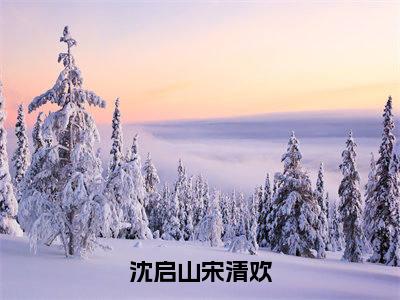 沈启山宋清欢（宋清欢沈启山）小说全文免费阅读大结局-沈启山宋清欢免费阅读无弹窗大结局