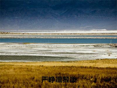 严峥凛黎漾（黎漾严峥凛）在哪免费看-严峥凛黎漾小说（黎漾严峥凛）全文完整版免费阅读