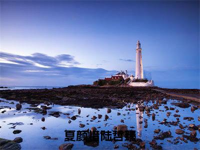 夏颜惜陆哲臻小说（夏颜惜陆哲臻）精彩章节-夏颜惜陆哲臻全文免费在线阅读