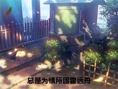 总是为情所困霍远舟（姜雁澜霍远舟）全文免费阅读无弹窗大结局-总是为情所困霍远舟最新章节列表免费阅读