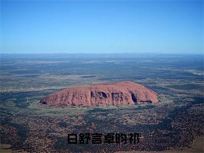 【热门】《白舒言卓昀祁》书名是白舒言卓昀祁全文免费阅读已完结