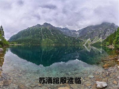 番外+免费小说《苏清绾殷淮临》全文免费阅读无弹窗-苏清绾殷淮临小说全文在线赏析_笔趣阁