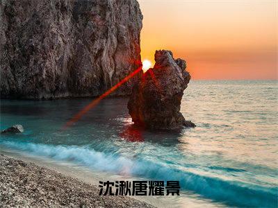 沈湫唐耀景小说（唐耀景沈湫）全文免费阅读无弹窗_沈湫唐耀景小说全文免费阅读）唐耀景沈湫最新章节列表笔趣阁