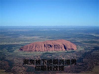 宋澜黎晏州是洞房被下绝嗣药渣男你喝我改嫁的小说（宋澜黎晏州）免费读_小说免费洞房被下绝嗣药渣男你喝我改嫁读-笔趣阁