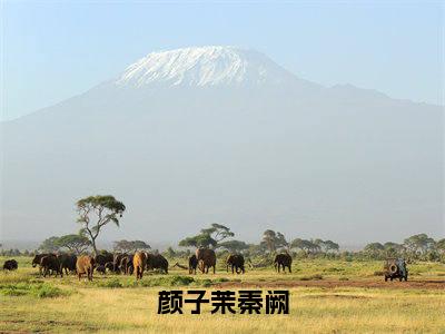 颜子茉秦阙（秦阙颜子茉）全文免费阅读大结局_秦阙颜子茉免费在线阅读无删减