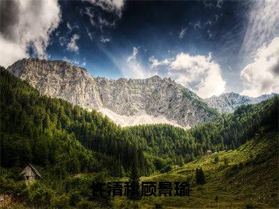 顾景瑜许清秋全文免费阅读-许清秋顾景瑜最新章节小说免费阅读