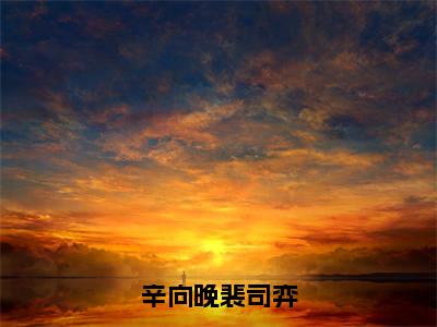 辛向晚裴司弈（辛向晚裴司弈）全文免费阅读无弹窗大结局_辛向晚裴司弈在线阅读笔趣阁